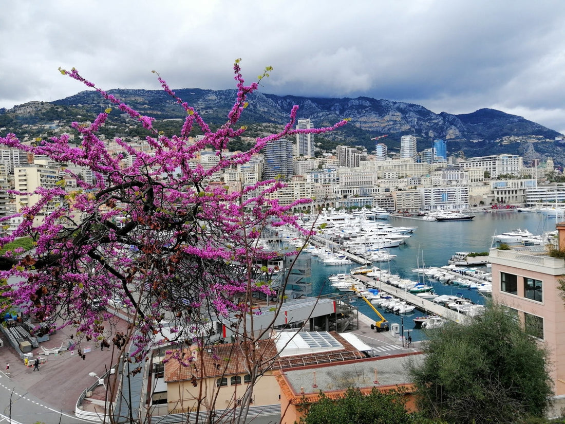 Did you know that Monaco is surprisingly cheap in terms of living costs?